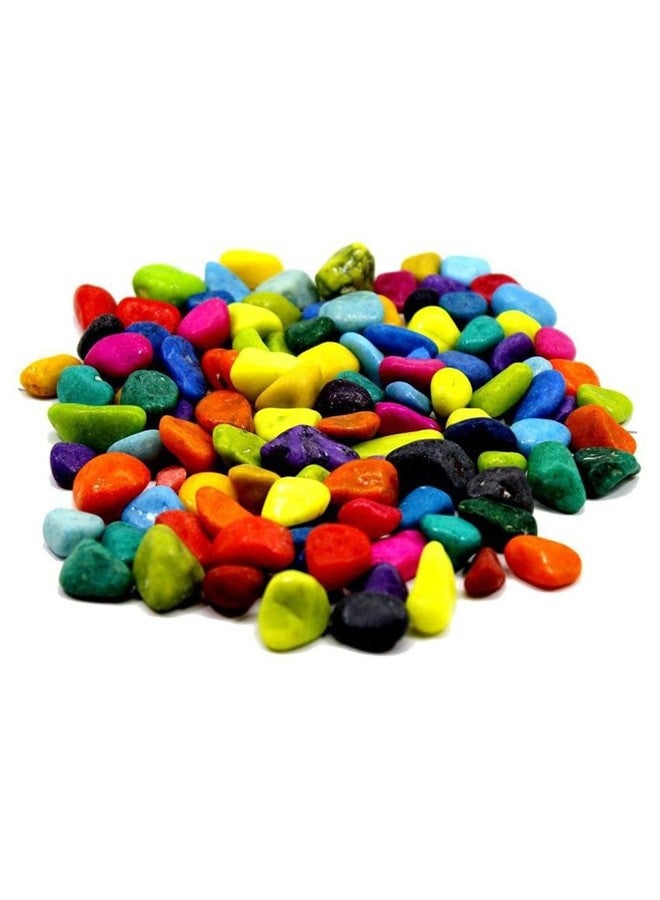 Afast Multicolor Pabbles/Stone for Garden, Plants, Aquarium & Home Decor Wt. 950g - Image 2